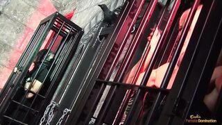 Three sex-starved bitches scream with ecstasy as they get their vaginas thoroughly ravaged.