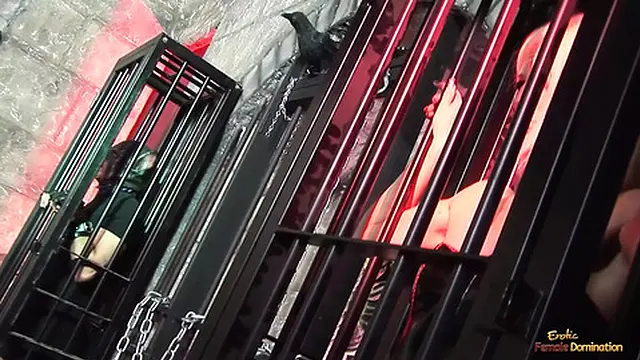 Three hoers moan loudly as they get thoroughly fucked