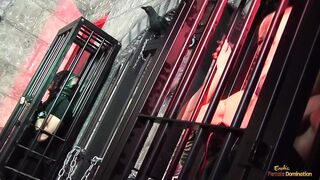 I got these three whores eating cum off each other's poopy butts