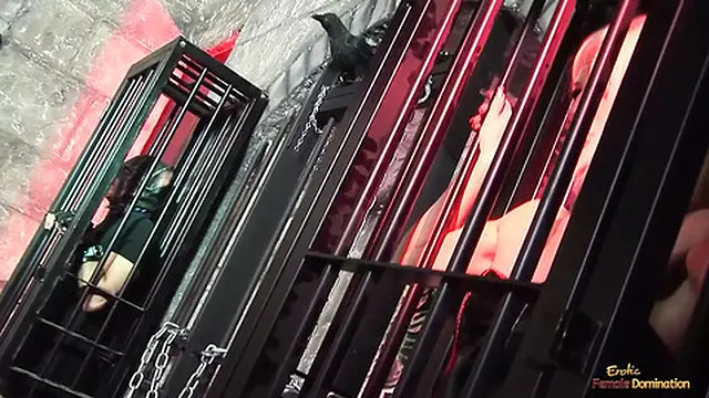 I got these three whores eating cum off each other′s poopy butts