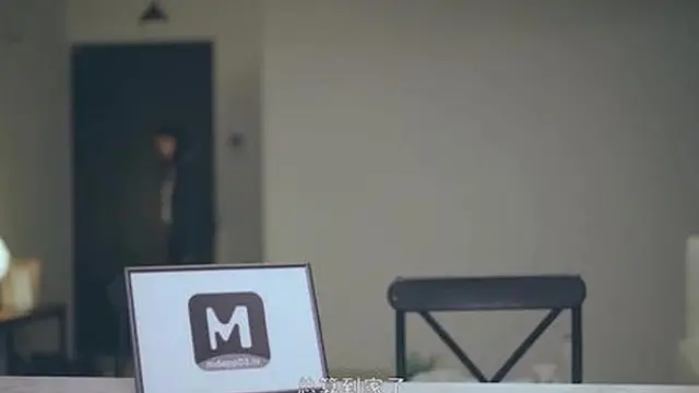 Delivery Guy Secrets MD0204